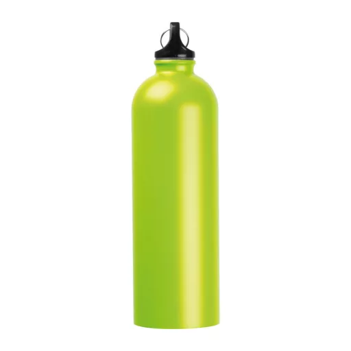 Ostrov rozsdamentes acél ivópalack, 750 ml