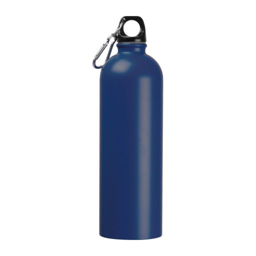 Ostrov rozsdamentes acél ivópalack, 750 ml