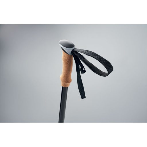 Nordic walking botok